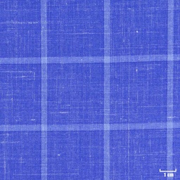 [403805] BLUE, BIG CHECKS