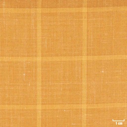 [403808] CAMEL, BIG CHECKS