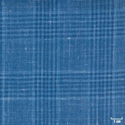 [403817] BLUE, CHECKS