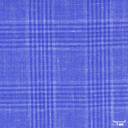 [403818] BLUE, CHECKS