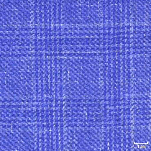 [403818] BLUE, CHECKS