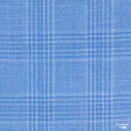 [403819] BLUE, CHECKS