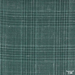 [403820] GREEN, CHECKS