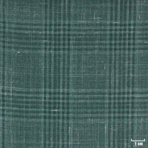 [403820] GREEN, CHECKS