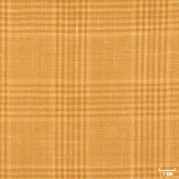 [403821] CAMEL, CHECKS