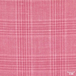 [403824] PINK, CHECKS