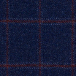[404318] BLUE, RED CHECKS