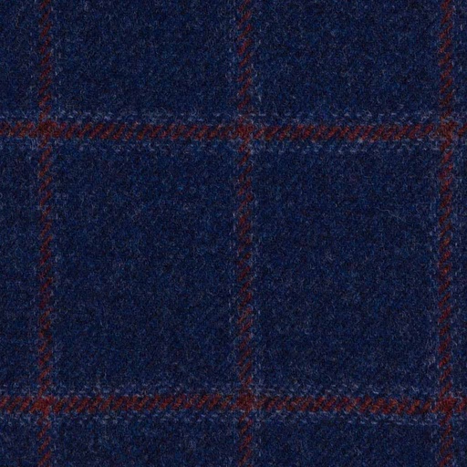 [404318] BLUE, RED CHECKS