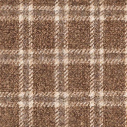 [404323] BROWN, CHECKS