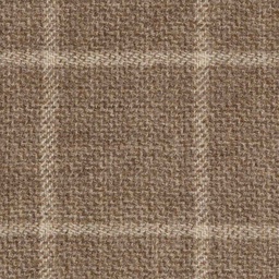 [404202] BROWN, CHECKS