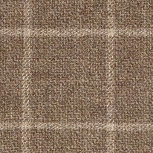 [404202] BROWN, CHECKS