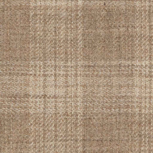 [404203] BROWN, CHECKS