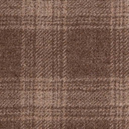 [404204] BROWN, CHECKS