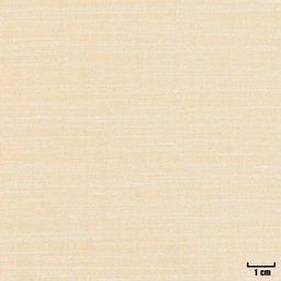 [404523] LIGHT YELLOW, PLAIN