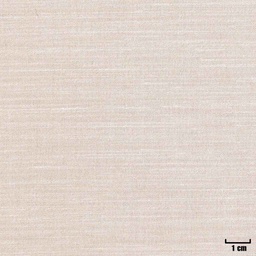 [404524] TAN, PLAIN
