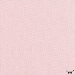 [404618] PINK, PLAIN