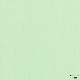 [404623] LIGHT GREEN, PLAIN