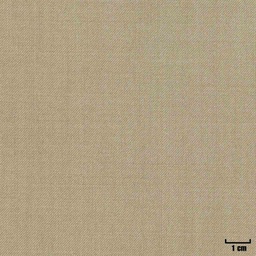 [404624] OLIVE, PLAIN