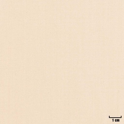 [404632] LIGHT BROWN, PLAIN