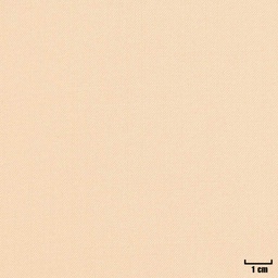 [404633] LIGHT BROWN, PLAIN