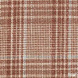 [404710] BROWN, CHECKS