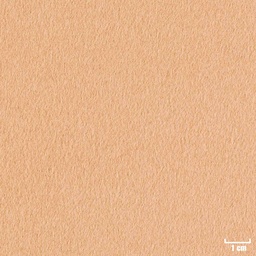 [404412] KHAKI, PLAIN