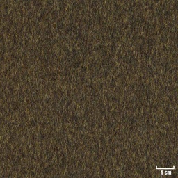[404423] GREEN, PLAIN