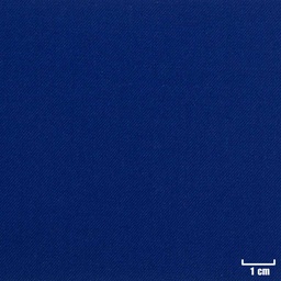 [404040] BLUE, PLAIN