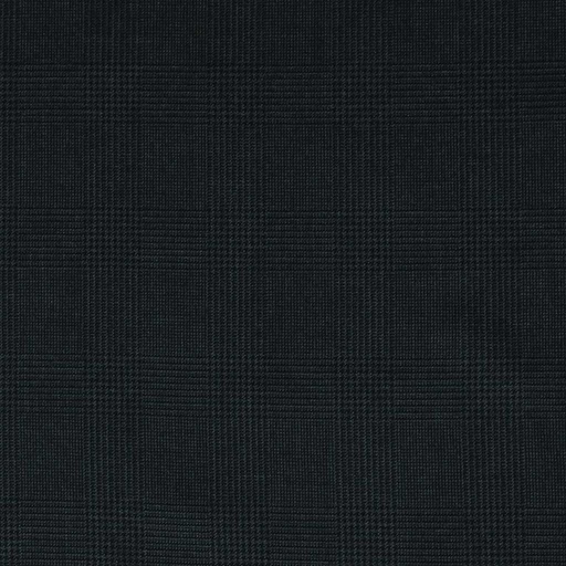 [352403] BLUE, BIG CHECKS