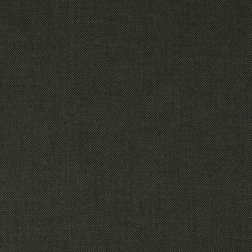 [352421] GREY, BIRDEYE