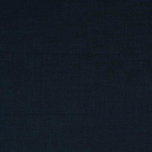 [352423] BLUE, BIRDEYE