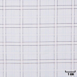 [H11249] WHITE, BLUE CHECKS