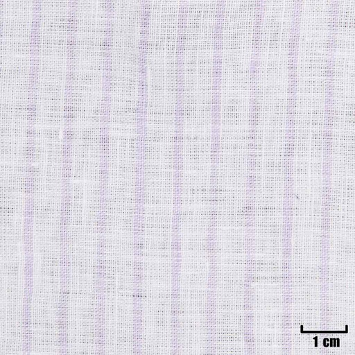 [A1205] WHITE, PURPLE STRIPES