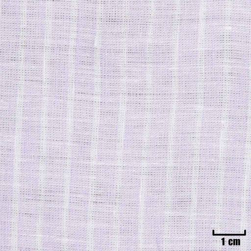 [A1208] PURPLE, WHITE STRIPES