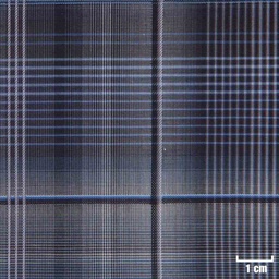 [H11263] BLUE, BIG PURPLE CHECKS
