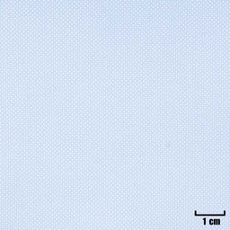 [H11362] BLUE, DOTTED PATTERN