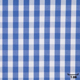 [H11351] WHITE, SMALL BLUE CHECKS