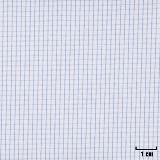 [H11356] WHITE, SMALL BLUE CHECKS