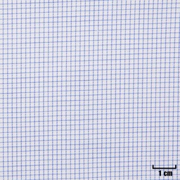 [H11204] WHITE, SMALL BLUE CHECKS