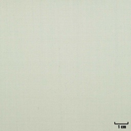 [500336] OFF WHITE, PLAIN