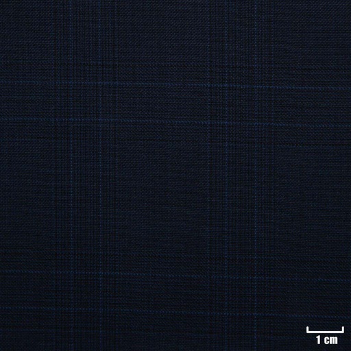 [500305] BLUE, BLUE CHECKS