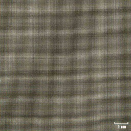 [31973] OLIVE, DOTTED PATTERN