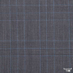 [107602] GREY, BLUE CHECKS