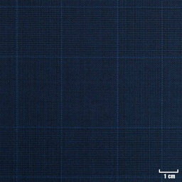 [223334] BLUE, BLUE CHECKS