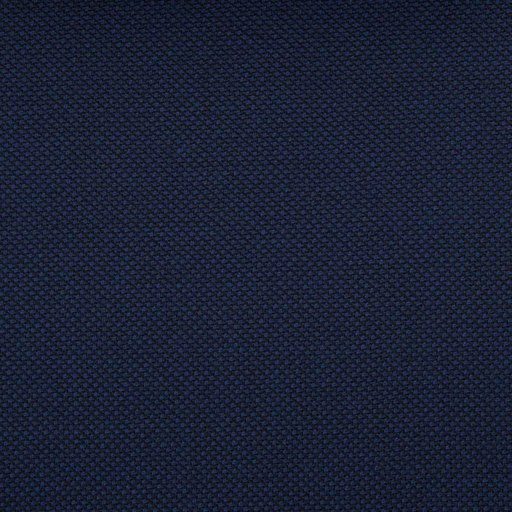 [227167] DARK BLUE, BIRDEYE