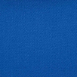 [225734] BLUE, PLAIN