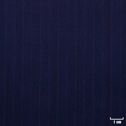 [501211] BLUE, PURPLE STRIPES