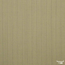 [501722] TAN, STRIPES