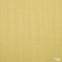 [501749] LIGHT TAN, PLAIN