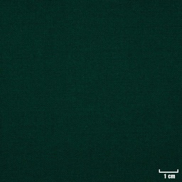 [501765] DARK GREEN, PLAIN
